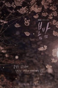 Постер к Весенняя ночь (1 сезон)
