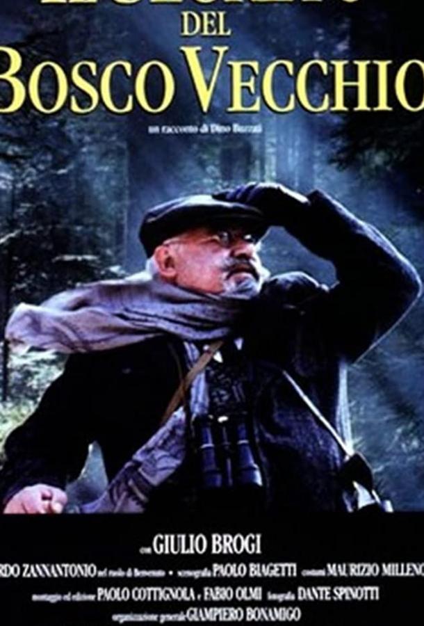 Постер к Тайна старого леса (1993)
