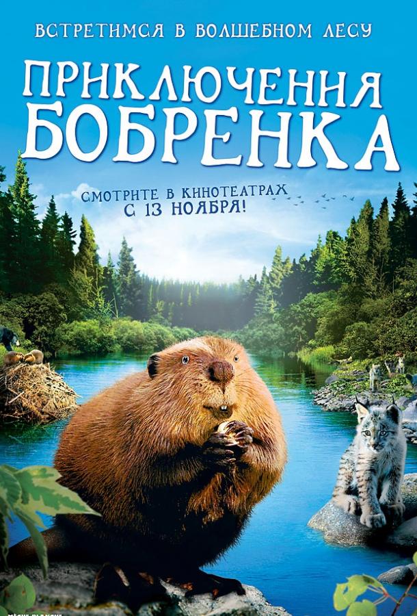 Постер к Приключения бобрёнка (2008)