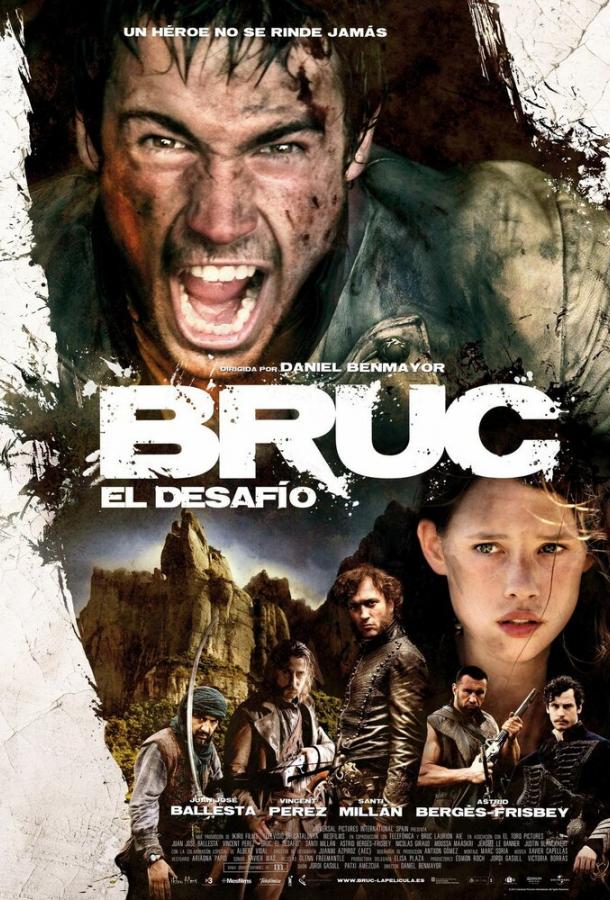 Постер к Брук. Вызов (2010)