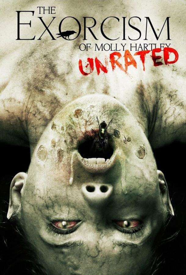 Постер к Экзорцизм Молли Хартли (2015)