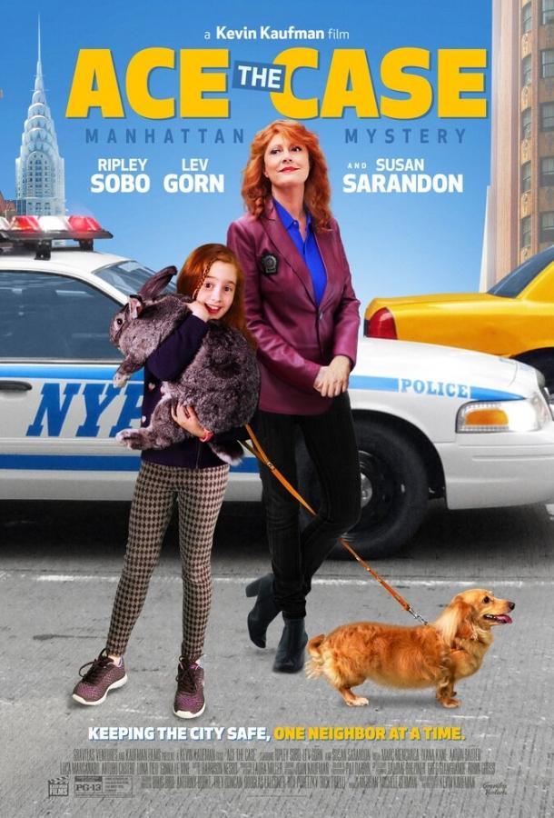 Постер к Реши кейс (2016)